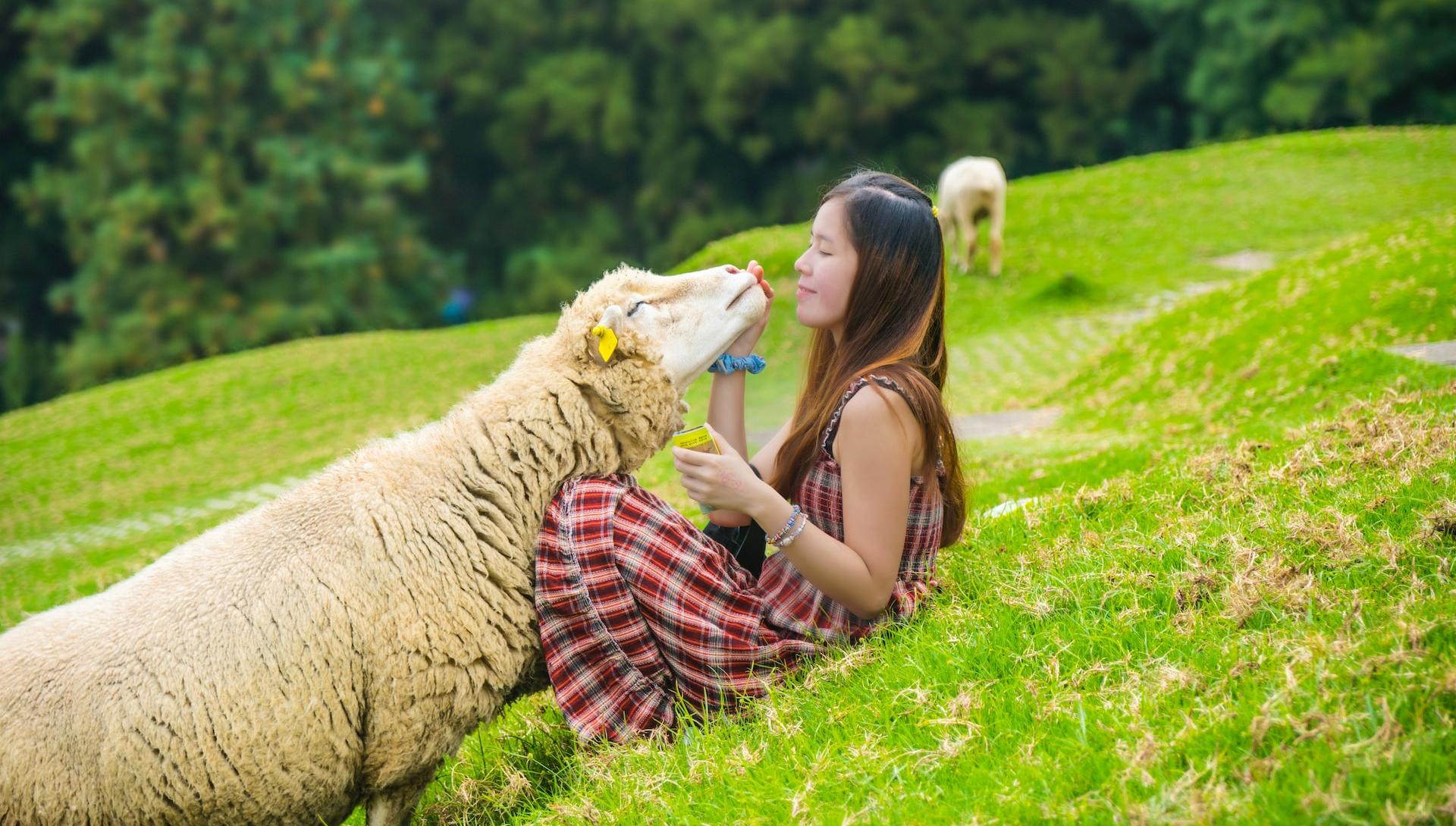 woman holding sheep's head